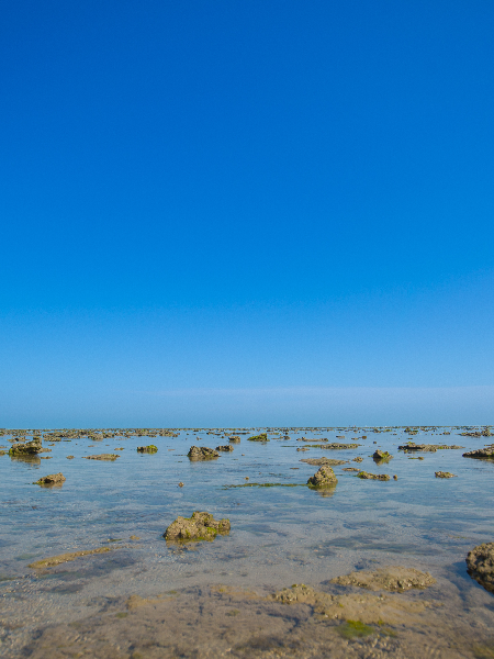 Marine National Park – Jamnagar